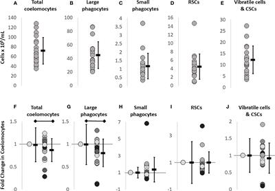 Coelomocyte populations in the sea urchin, Strongylocentrotus purpuratus, undergo dynamic changes in response to immune challenge